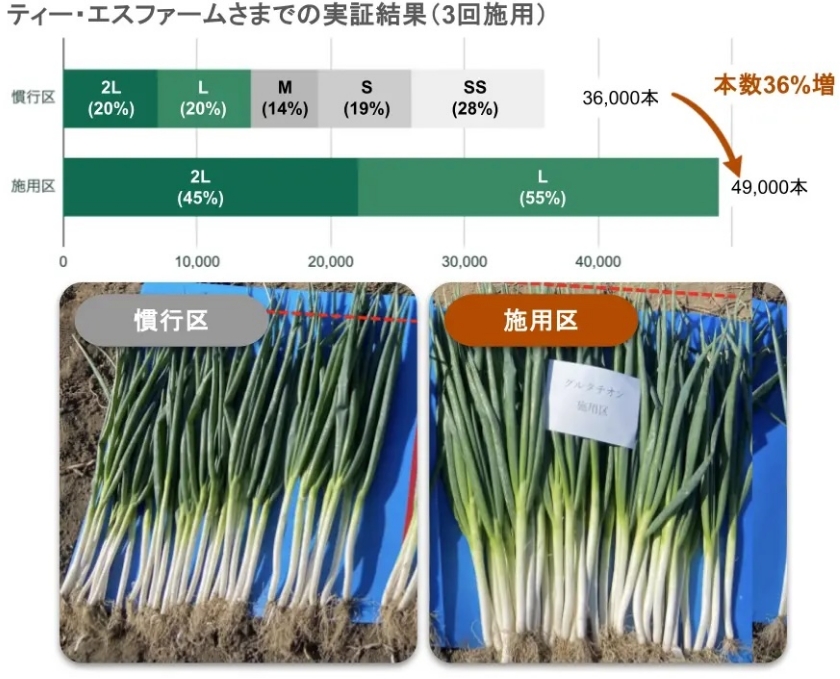 効率化できたことにより作業時間の大幅削減